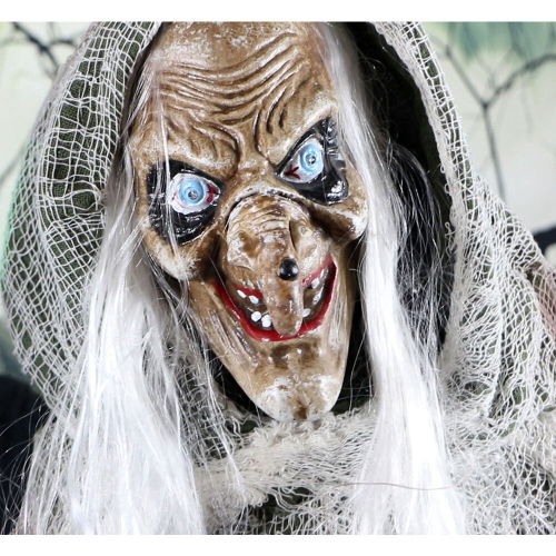 Haunted Hill Farm HHWITCH-7FLSA - 6
